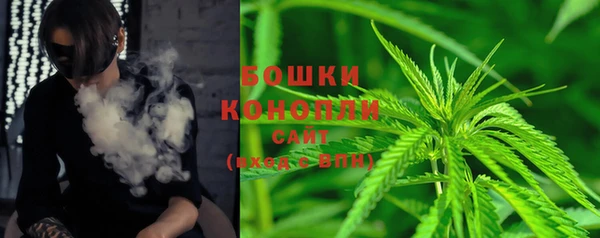a pvp Каменка