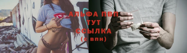 a pvp Каменка