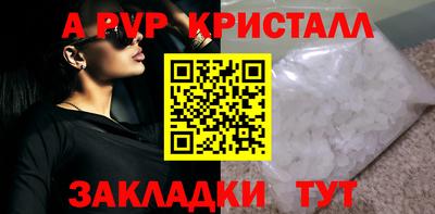 ешки Кингисепп