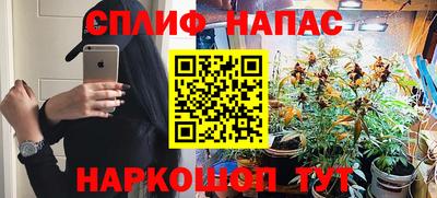 ешки Кингисепп