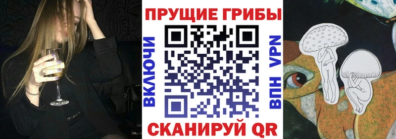 ссылка на мегу ТОР  Кизляр  Псилоцибиновые грибы мухоморы 