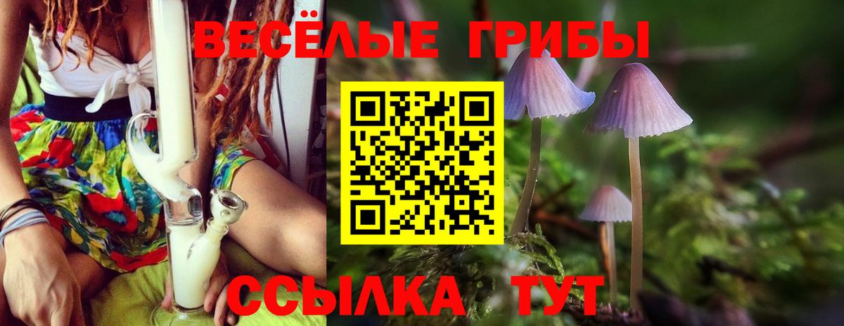 Кизляр  Галлюциногенные грибы мухоморы  Вход с VPN 