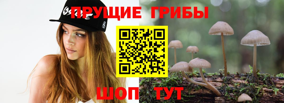 Галлюциногенные грибы Psilocybine cubensis Кизляр