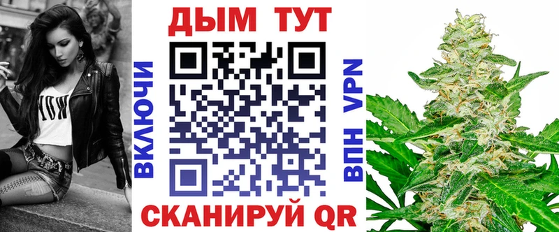 Каннабис семена  Кизляр 